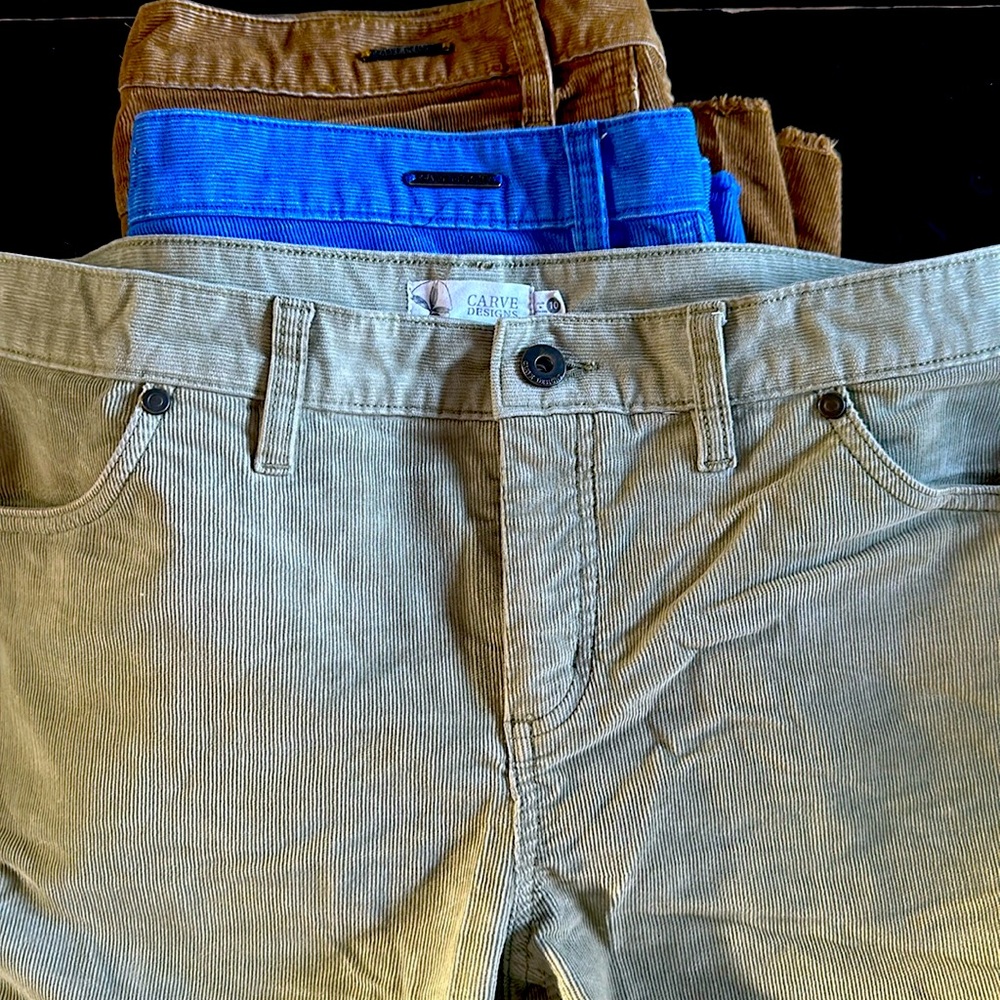 Carve Designs above the knee cord shorts.